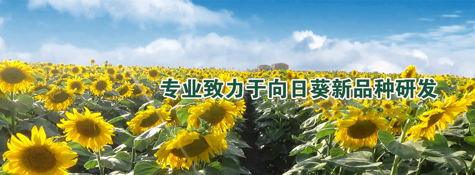 hth华体会体育米兰banner